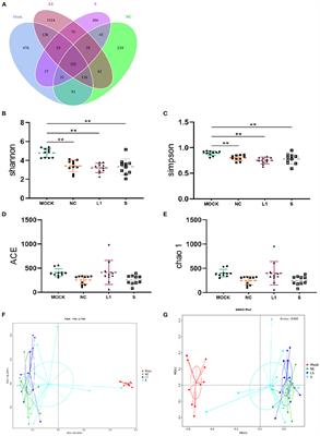 Effects of salinomycin and ethanamizuril on the three microbial communities in vivo and in vitro